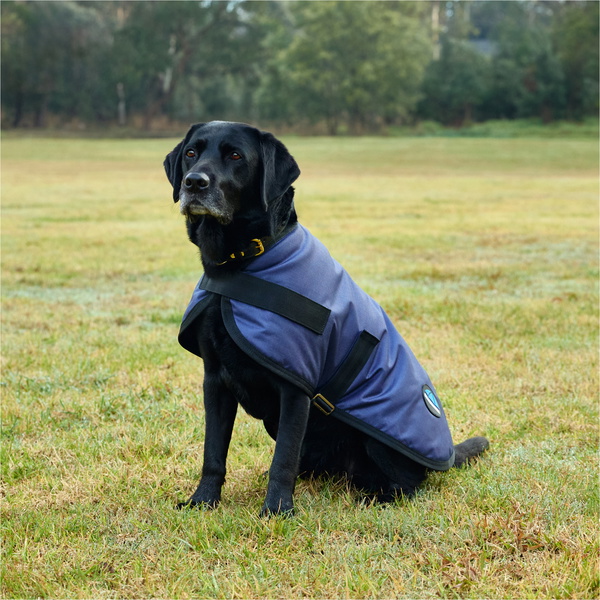 2025 Weatherbeeta Comfitec Classic Waterproof Dog Coat 1029048 - Navy